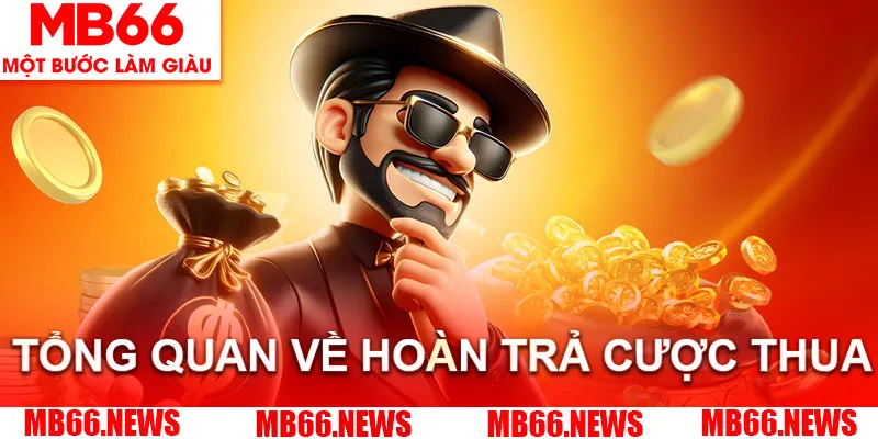 Chính sách hoàn trả giúp vội viên an tâm khi cá cược