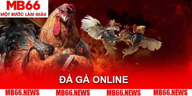 Đá gà online là hình thức được ưa chuộng tại nhà cái